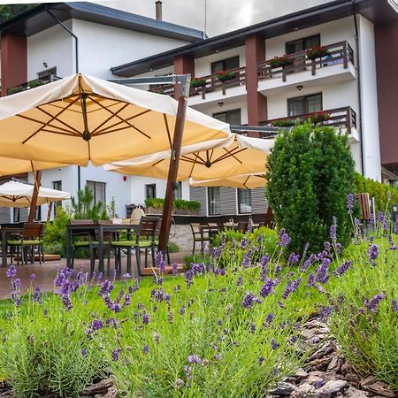 Piatra Pinului Ski & Spa Gura Humorului Extérieur photo